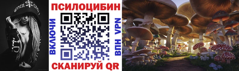 где продают Тихвин блэк спрут зеркало Псилоцибиновые грибы GOLDEN TEACHER
